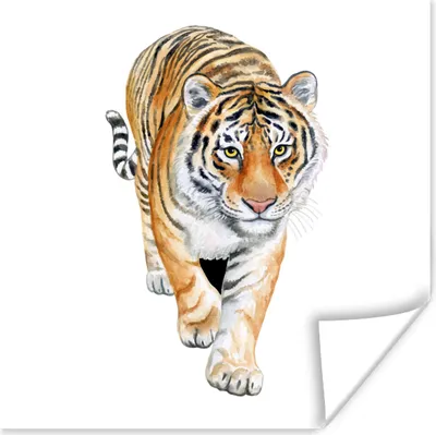 Produktbild von MuchoWow® Poster Tiger - Kopf - Weiß 100x100 cm - Babyzimmer