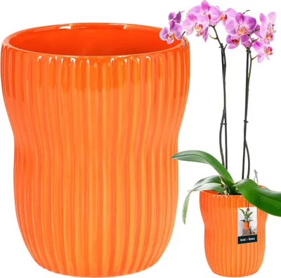 A large orange planter is shown next to a smaller orange planter with a pink orchid.