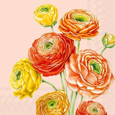 Produktbild von RANUNCULUS Rose Lunch-Servietten L1030950