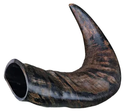 Immagine prodotto di Corno da masticare di bufalo, confezionato