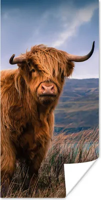Produktbild von MuchoWow® Poster Schottischer Highlander - Berg - Wasser - Natur - Kuh 20x40 cm - Plakat - Foto
