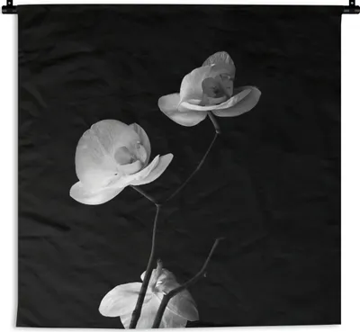 Produktbild von MuchoWow® Wandteppich Wandbehang Orchidee - Blumen - Schwarz - Weiß - Stilleben 60x60 cm Tapisserie Dekoration Wandtuch - Dekorationen - Wand Decke