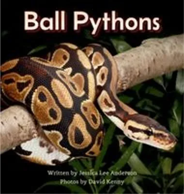 Obrázek produktu pro Ball Pythons