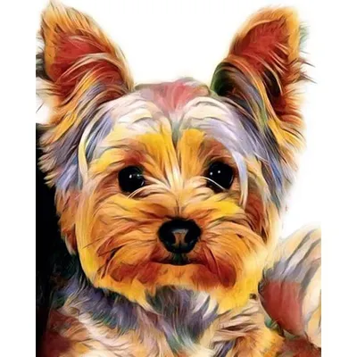 Obrázek produktu pro Sada pro křížkové vyšívání - Jorkšírský teriér 32 x 40 cm