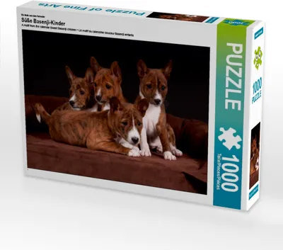 Produktbild von CALVENDO Puzzle Ein Motiv aus dem Kalender Süße Basenji-Kinder 1000 Teile Puzzle quer | 1000 Teile Lege-Größe 64x48cm Foto-Puzzle für glückliche Stunden