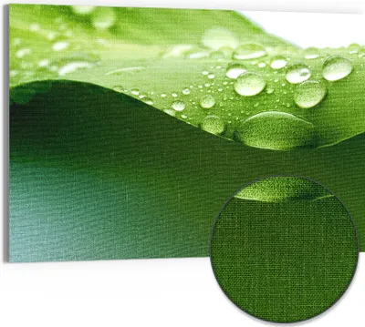Produktbild von DEQORI Hybrid Leinwand Bild 90x60 cm 'Tropfenfrische' Wandbild Glas flach modern
