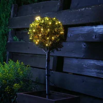 Produktbild von LED Lichternetz für Buchsbaum - Kugelnetz - 60 warmweiße LED - 24V Außentrafo - D: 35cm - grün