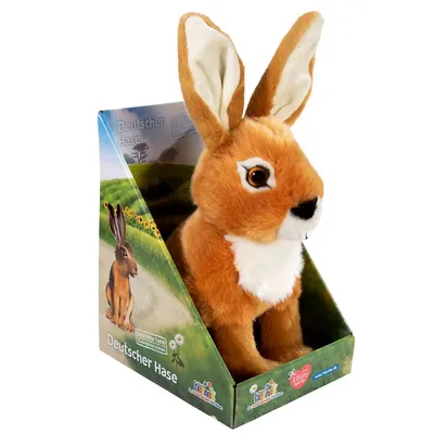 Produktbild von BEDROHTE TIERE Feldhase