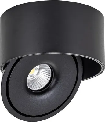 Image de Spot LED en Saillie COB 30W Rond ø176mm Orientable CCT Noir - 3000K/4000K/6000K