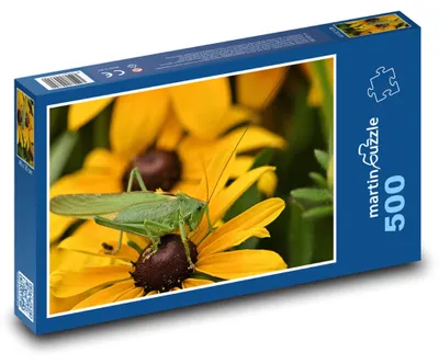 Obrázek produktu pro Puzzle 500 Saranče na květu slunečnice - martinpuzzle
