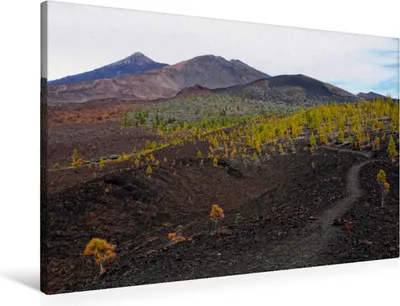 Produktbild von Calvendo  Textil-Leinwand 90 cm x 60 cm quer Ein Motiv aus dem Kalender Teneriffa - Landschaften im Teide Nationalpark, Frost Anja; 7331582