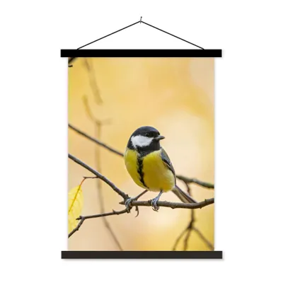 Produktbild von MuchoWow® Textilposter Kohlmeise - Zweig - Vogel - Tiere 90x120 cm mit schwarzem Rahmen - Dekoration