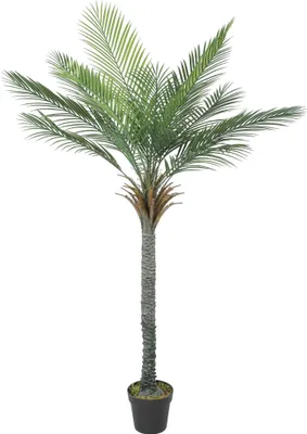 Produktbild von Kunstpalme - Standpflanze 180 cm - Mit Topf - Für Innenbereich - PP-Material - Größe 80×60×180 cm - Armeegrün