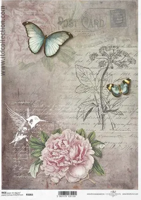 Immagine prodotto di ITD Carta di riso per decoupage A4 ITD-R1065 Vintage farfalla colibrì fiore