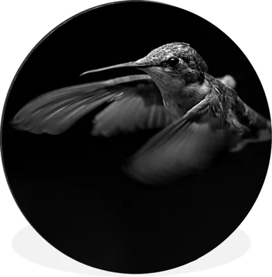 Produktbild von MuchoWow® Aluminium Wandkreis Kolibri - Vogel - schwarz und weiß Ø 90 cm Wanddeko Modern Wohnzimmer - Mauerkreis - Wandbilder - Runde Bild - Bild aus Aluminium - Schlafzimmer - Wohnzimmerdekoration - Wand Dekoration