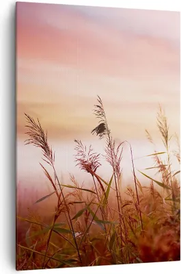 Produktbild von Bild auf Leinwand - Leinwandbild - Einteilig - Wiese Getreide Natur - 70x100cm - Wand Bild - Wanddeko - Wandbilder - Leinwanddruck - Wanddekoration - Leinwand bilder - Wandbild - PA70x100-3530