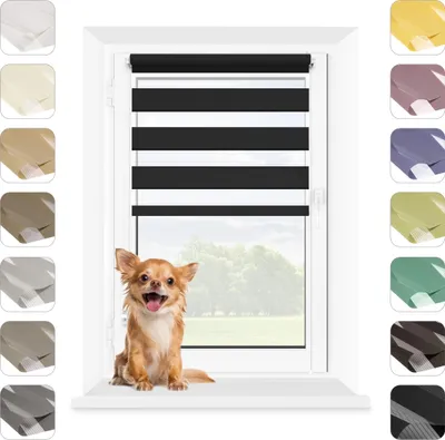 A black and white striped roller blind is shown in a window, with a small dog sitting on the windowsill in front of it. There are swatches of different colored blinds on the left and right sides of the image.
