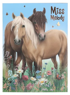 Obrázek produktu pro Miss Melody 0412933, Chlapec/děvče, Přiložené nálepky, Omalovávací kniha/album