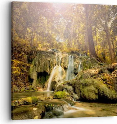 Produktbild von Bild auf Leinwand - Leinwandbild - Wald Wasserfall Natur Umwelt - 40x40cm - Wand Bild - Wanddeko - Leinwanddruck - Bilder - Kunstdruck - Wanddekoration - Leinwand bilder - Wandkunst - AC40x40-2959