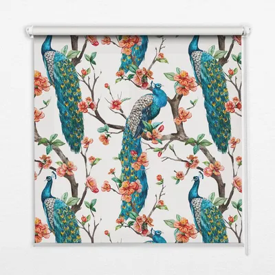 Produktbild von Seitenzug-Rollo Fensterrollo Jalousie - Lichtdurchlässig Springrollos - 80x180 cm - Pfau auf einem Zweig