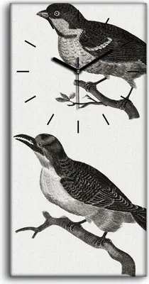 Produktbild von Wandbild Leinwand Bilder Wanduhr 30x60 Zeichnung Tier Vogel Zweig Kunst - schwarze Hände
