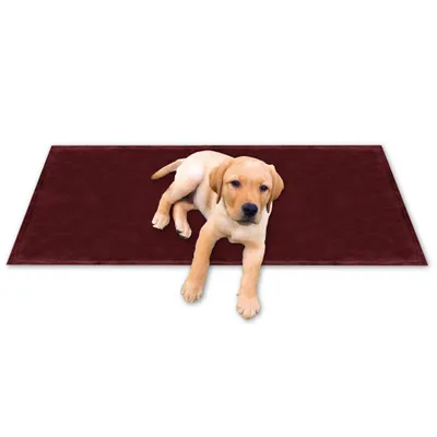 Produktbild von Haustier Kuscheldecke Supersoft, Maße: 60x80cm, Farbe: Rostbraun