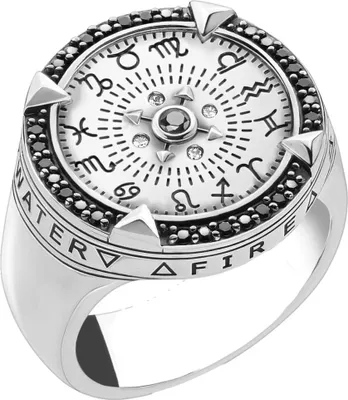 Produktbild von Thomas Sabo - TR2330-643-18-58 - Ring - Damen - 925er Silber - Rebel at Heart - Weite 58