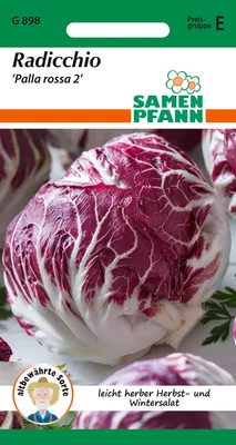 Artikelbild 1 von 'Zichoriensalat Radicchio Palla Rossa' aus der Kategorie Radicchiosamen