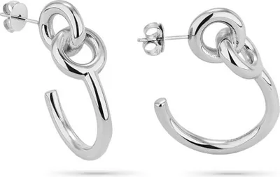 Produktbild von Elegante Ohrringe für Damen in Silberfarben, ein klassisches Schmuckstück