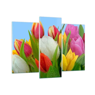 Produktbild von Bilder auf glas - Tulpen Blumenstrauß Blumen Tau - 130x100cm - Glasbilder - Wandbilder - Kunstdruck - zum Aufhängen bereit - Wanddekoration aus Glas - Glas Bilder - Wandbild auf Glas - GCB130x100-2526
