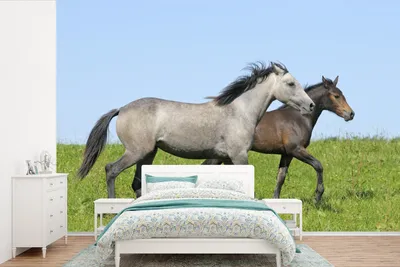 Produktbild von MuchoWow® Fototapete für Wohnzimmer oder Schlafzimmer Wandtapete Vinyl Motivtapete Pferde - Tiere - Gras - 390x260 cm - Papiertapete