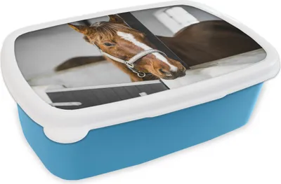 Produktbild von KitchenYeah® Lunchbox Brotzeit Brotdose 17x11 cm Pferd - Braun - Stall Kinder Brotzeitdose - Lunch - Kunststoff  - Brotbüchse - Sandwichbox - Lunchbox für Kinder