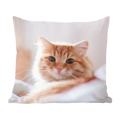 Produktbild von MuchoWow® Zierkissen Sofakissen Wohnzimmer Dekokissen 40x40 cm Katze - Rot - Bett - Mädchen - Kinder - Jungen - Foto Kissen - Schlafzimmer Dekoration