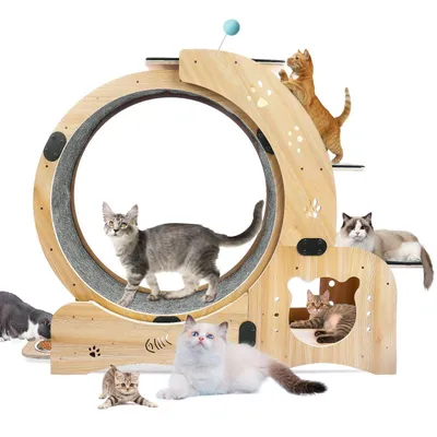 Produktbild von Tier-Intelligenzspielzeug Tierlaufrad Katzenlaufrad XXL mit extra langen Pedalen 45,5 cm leises Indoor Laufrad für Katzen, Katzentrainer Fitnessrad