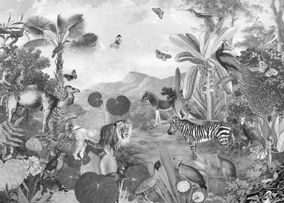 Zdjęcie produktu dla Komar fototapeta Flora i Fauna czarno-białym - 611639 - 350 x 250 cm