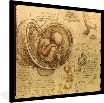 Produktbild von MuchoWow® Gerahmtes Poster Baby im Mutterleib - Leonardo da Vinci 40x40 cm - Poster mit Schwarzem Bilderrahmen Wandposter Rahmen Foto Bilder - Mit Rahmen - Wanddekoration Schlafzimmer