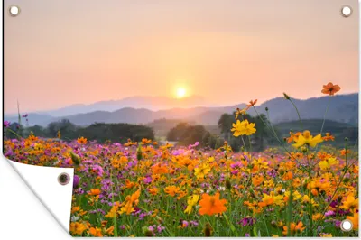 Produktbild von MuchoWow® 60x40 cm Outdoor-Poster Gartendeko Sichtschutz Garten Poster für den Garten  Blumen - Sonnenuntergang - Berg