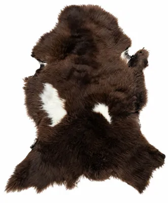 Produktbild von Schaffell Echt | Dunkelbraun-Weiß, ca. 112 cm | Langflor | Öko gegerbt | Unikat 104-048