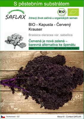 Obrázek produktu pro SAFLAX - BIO - Kapusta - Červený Krauser - Brassica oleracea var. sabellica - 50 Semena - S pěstebním substrátem bez klíčků