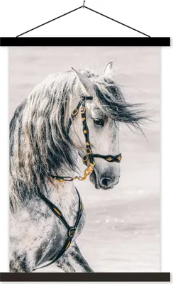 Produktbild von MuchoWow® Textilposter Pferd - Gold - Halfter 40x60 cm mit schwarzem Rahmen - Wanddekorationen
