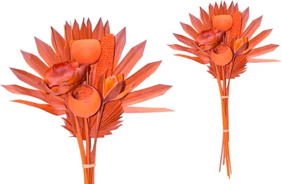 Produktbild von BOHO Trockenblumenstrauß gemischt Exotic Palmspear Orange 60cm, 10 teilig