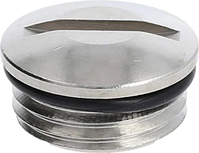 Immagine prodotto di Tappo cieco WISKA PG9x1,41 rotondo con fessura, con O-ring, ottone (CuZn) nichelato, lunghezza filettatura 6,0 mm - 1 pezzo