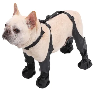 Immagine prodotto di Scarpe impermeabili per cani - Scarpe protettive da esterno per cani