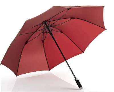Produktbild von Regenschirm Euroschirm birdiepal automatic