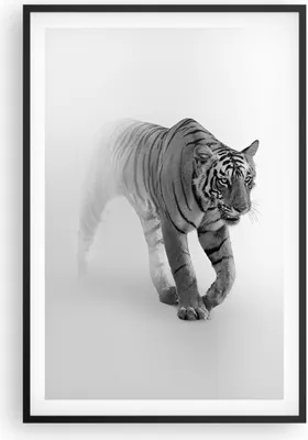 Produktbild von Gerahmtes Poster - Schwarzer Rahmen - Tiger Monochrom Porträt - 61x91,5 cm - Wand Bild - Wanddeko - Wandbilder - Kunstposter - Wandposter - Bilderrahmen - Bilder - Kunstdruck - P2BPA61x91-4626