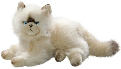 Produktbild von Carl Dick Katze, Perserkatze Chocolate Point ca. 30cm 3201 Kuscheltier, Plüschtier, Stofftier
