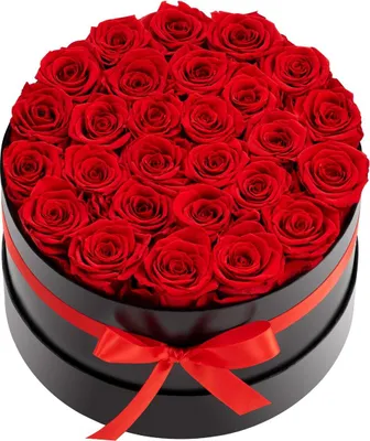 Produktbild von Forever Flowers, 27 konservierte Rosen in einer Schachtel, ewige Blumen, unvergänglicher Blumenstrauß, Geburtstagsgeschenk zum Versenden, Prime Women, seine Frau, Mütter, Jahrestag, Valentinstag, Weihnachten, rot