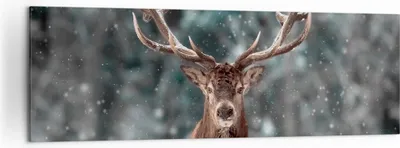 Produktbild von Bild auf Leinwand - Leinwandbild - Einteilig - Hirsch Hirsch Winter - 160x50cm - Wand Bild - Wanddeko - Wandbilder - Leinwanddruck - Bilder - Wanddekoration - Leinwand bilder - AB160x50-4998