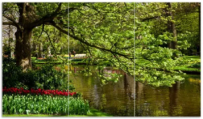 Produktbild von Wallario Herdabdeckplatte aus Glas, Größe 90 x 52 cm 3-teilig, Motiv Bunte Blumen im Park am Wasser - Frühblüher am Ufer