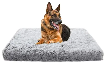 Immagine prodotto di Cuccia per cani in peluche con memory foam, cuscino ortopedico per cani, lavabile, antiscivolo, grigio, 40x30x5 cm